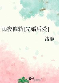 雨夜偏轨[先婚后爱]